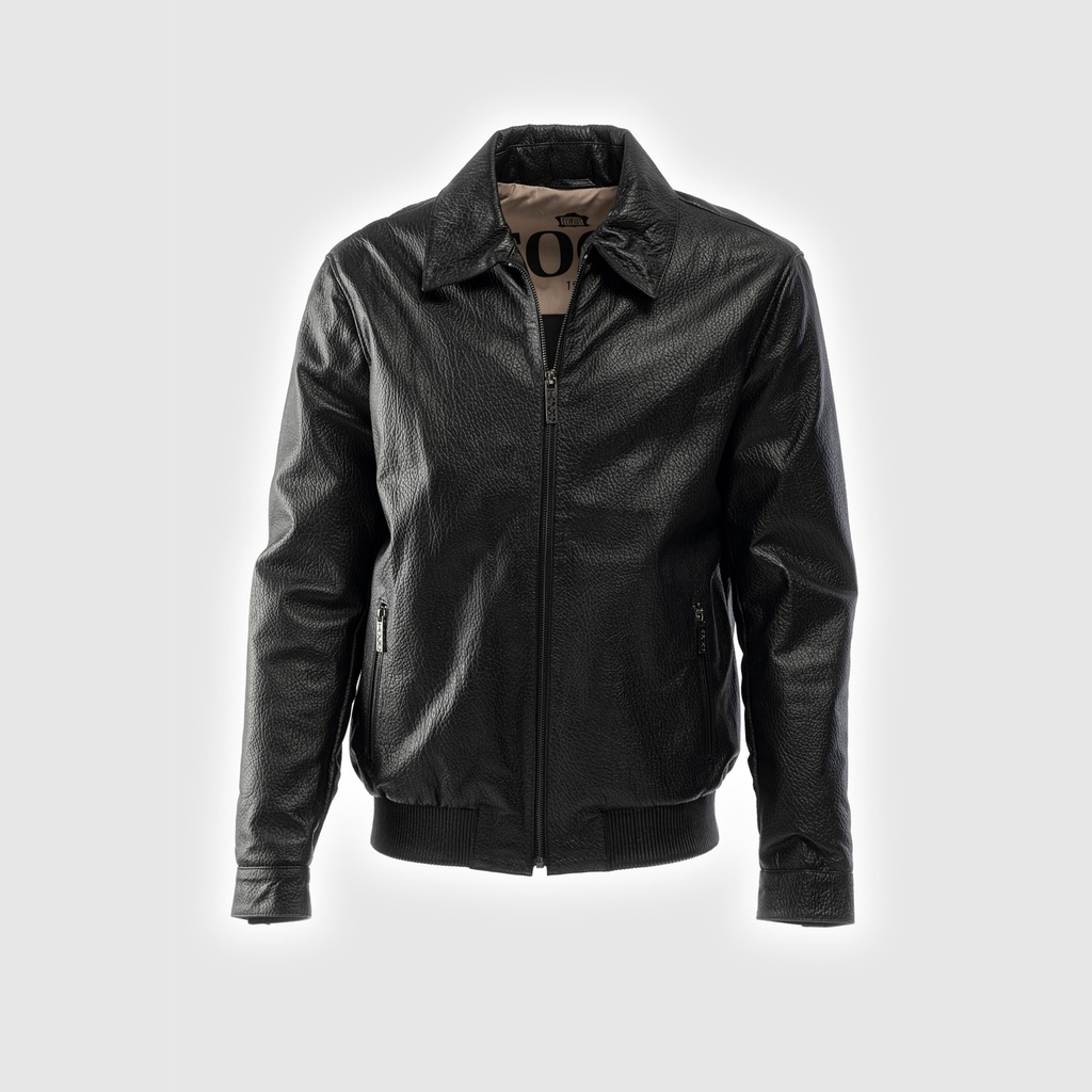 Men Shirt Collar Leather Jacket [81002]